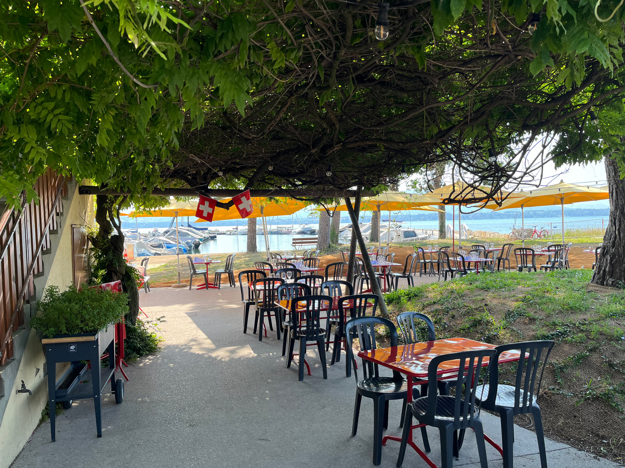 Terrasses sous les glycines